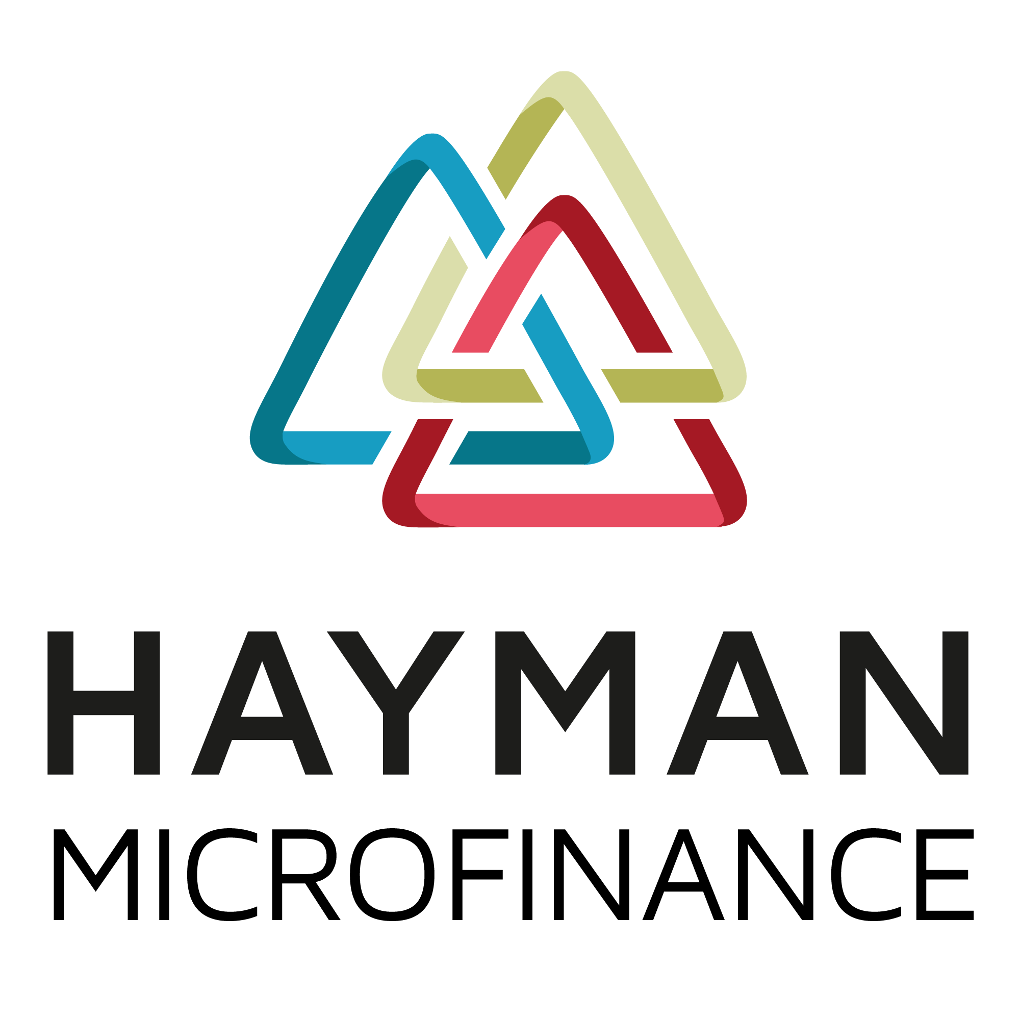 Hayman Microfinance